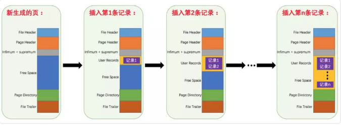 记录在页中的存储