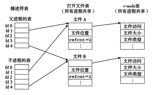 父子进程表的共享文件